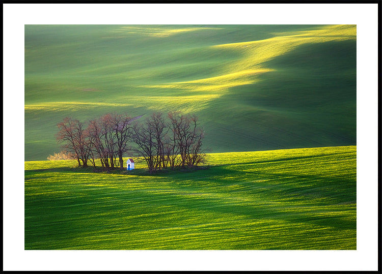 Fields... - Posterbox