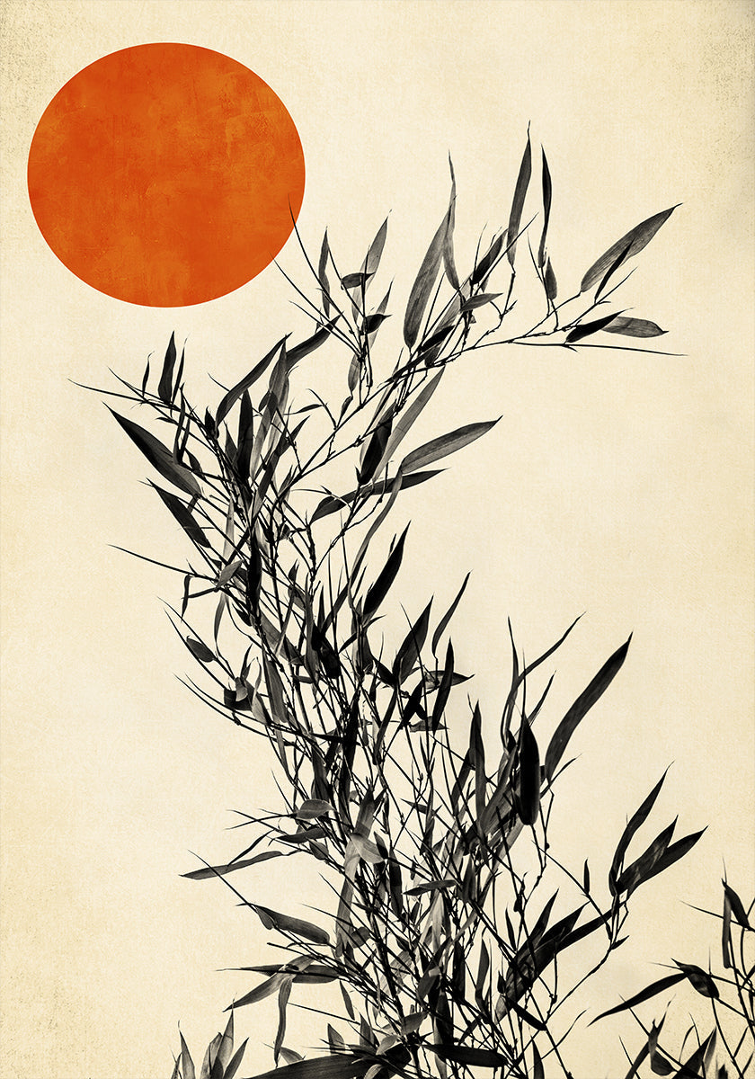 Japanese Birch Plakat - Posterbox