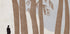 Seeking peace in the woods Plakat - Posterbox