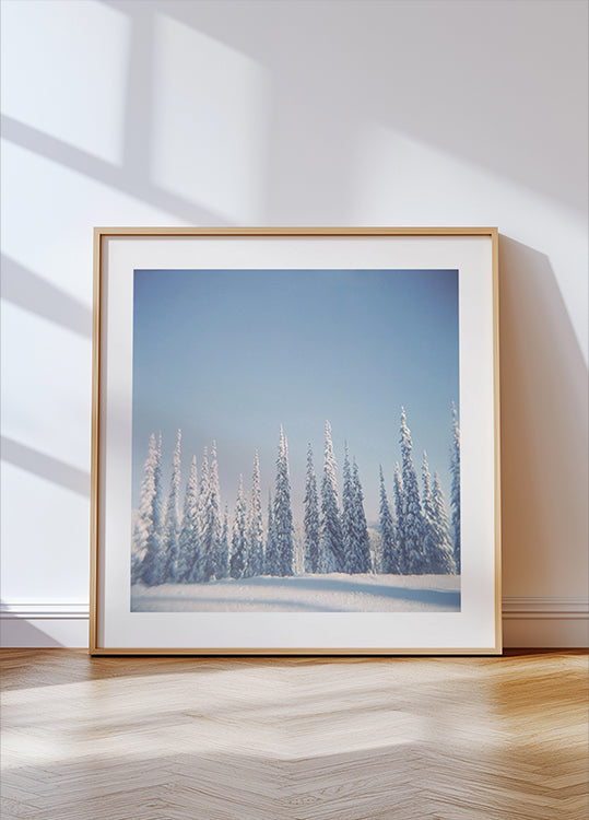 Winter Pines Plakat - Posterbox