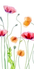 Poppies Plakat - Posterbox