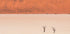 Desert's textures (NEW) - Posterbox