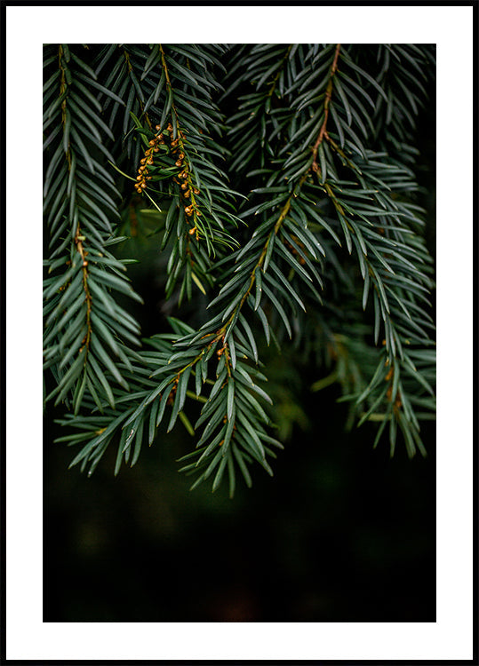 Winter Branches 7 Plakat - Posterbox