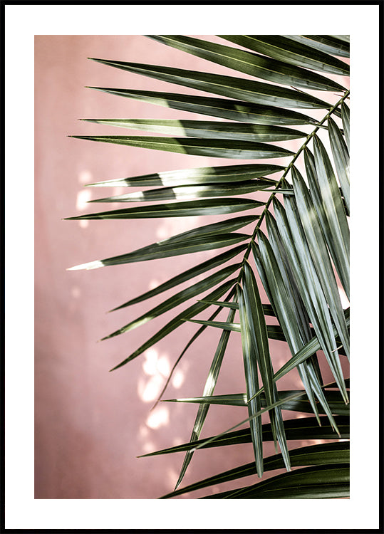 Palm Leaves 23 (NEW) - Posterbox