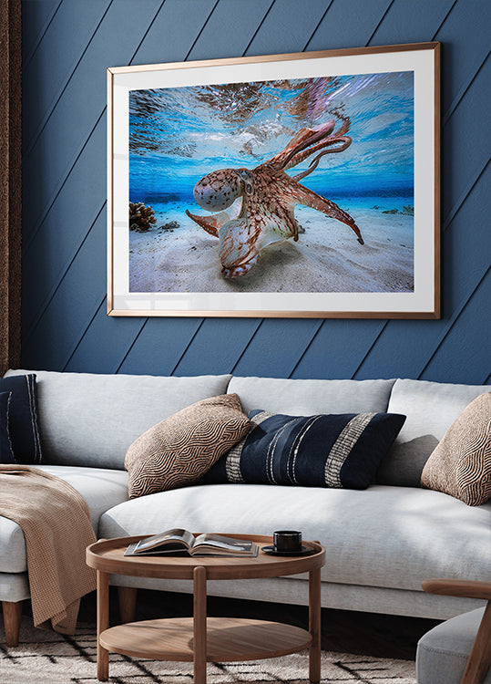 Pulpo bailando Póster