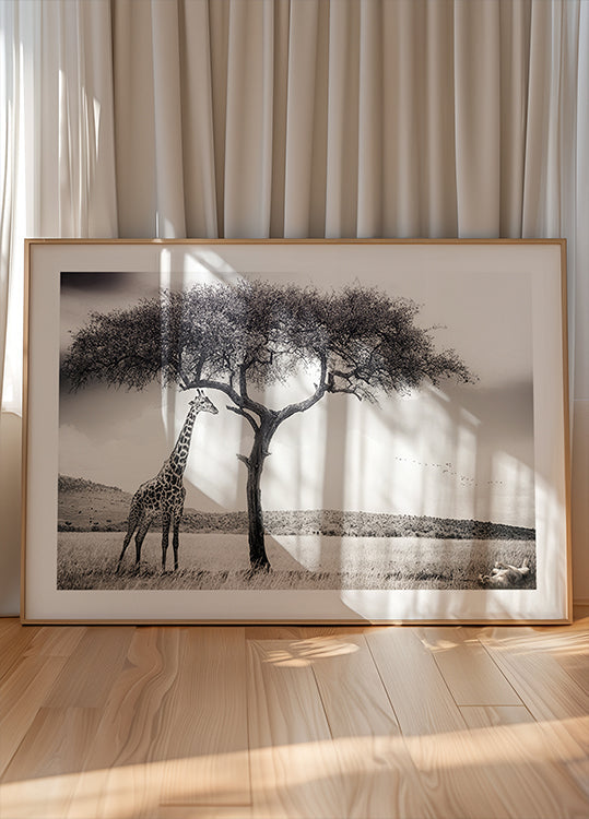 Póster Bajo el sol africano