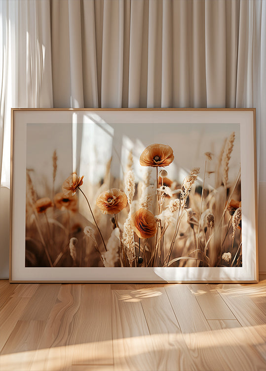 Amapolas en brisa