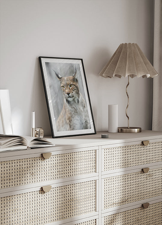 Póster Retrato de lince en la niebla