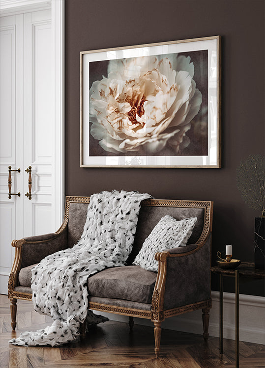 Pétalos de serenidad