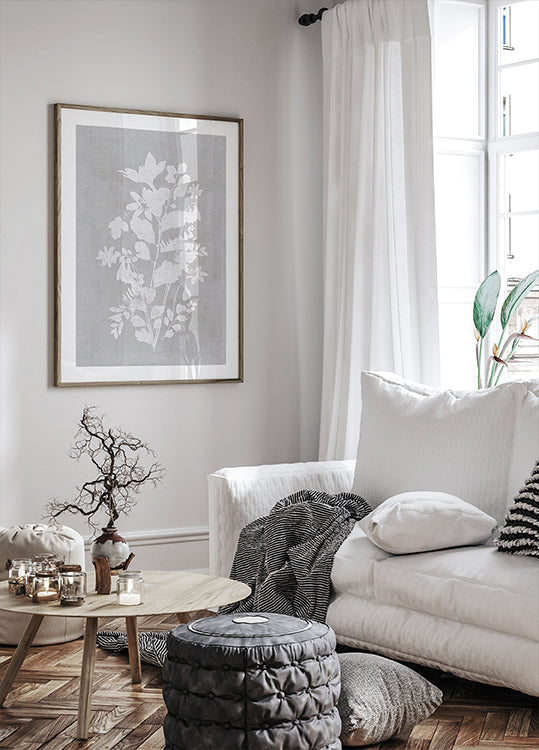 Ilustración botánica 2 Póster