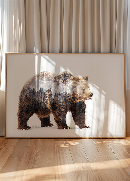 Oso Póster