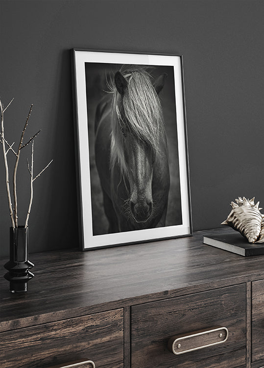 Tipo de surf alpino Póster