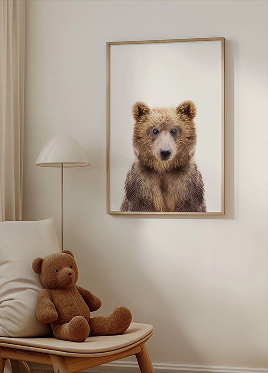 oso bebe