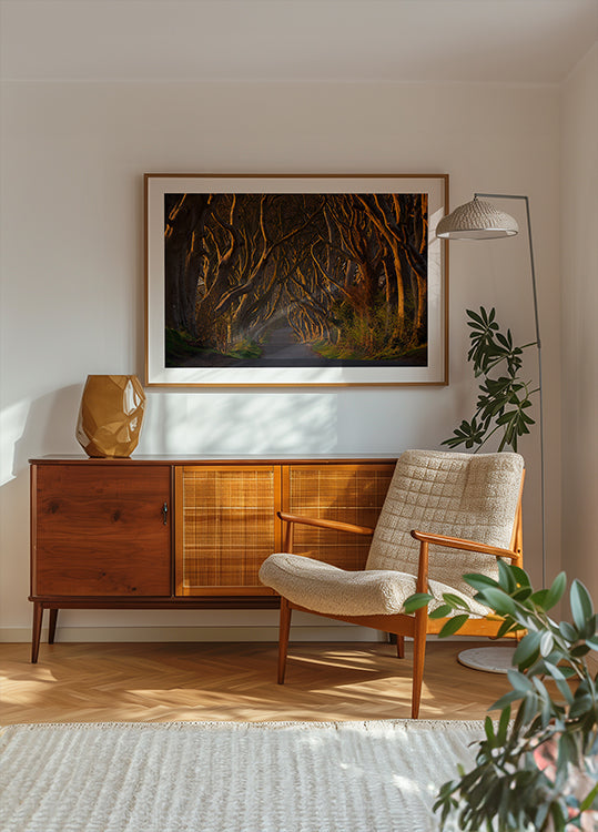 Los setos oscuros bajo el sol de la mañana