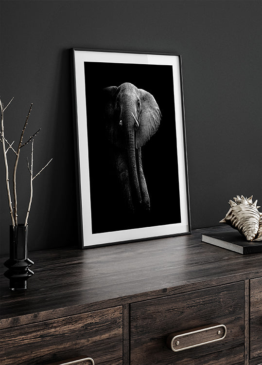¡Elefante!