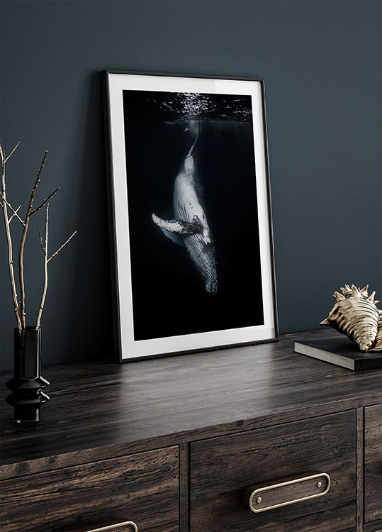 Ballena Negra Póster