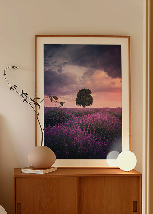 Póster Campos de lavanda, Isparta