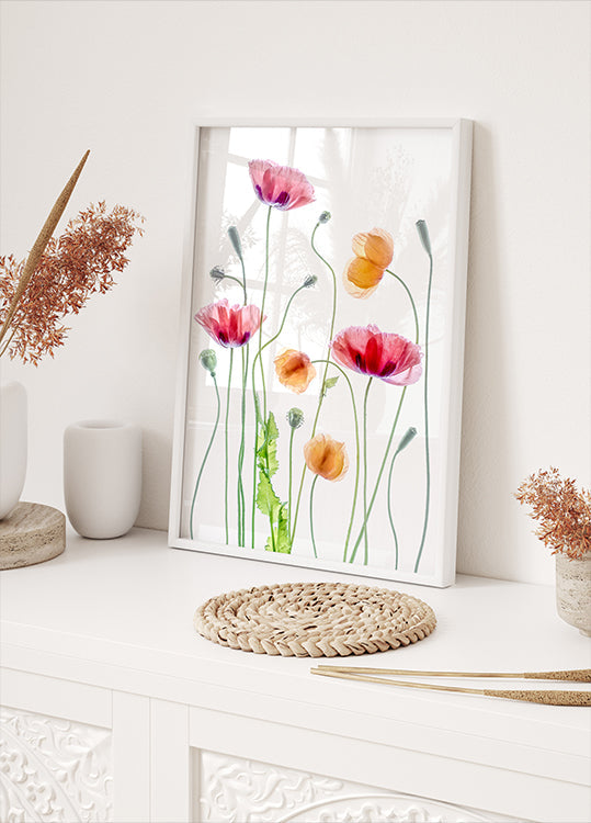 Amapolas Póster
