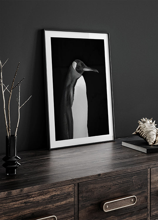 Sr. pingüino Póster