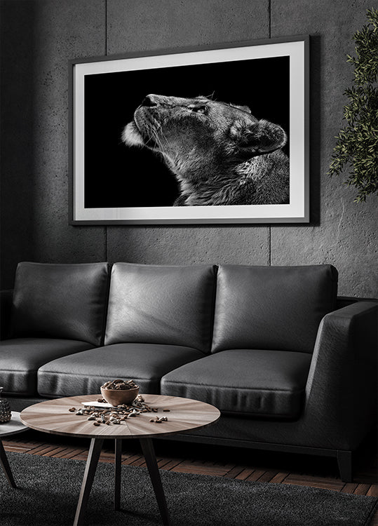 Póster Mirando hacia arriba