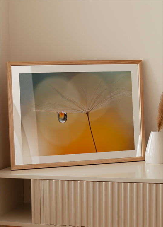 Pequeña música nocturna...