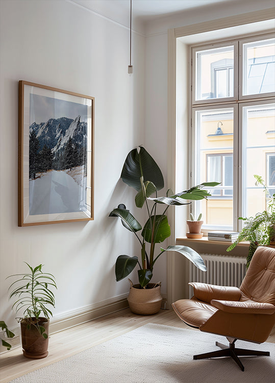 Plancha congelada Póster