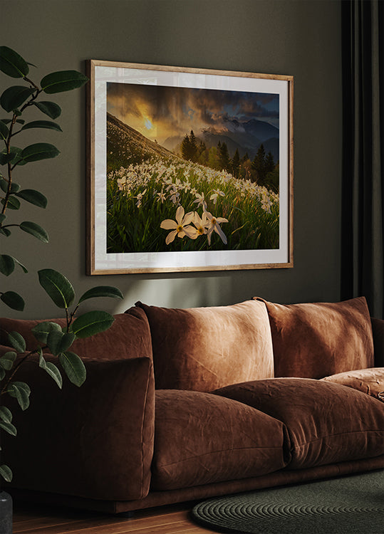 Póster Alfombra blanca