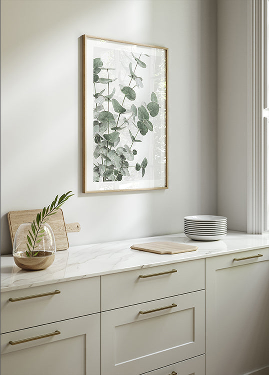 Eucalipto_003 Póster