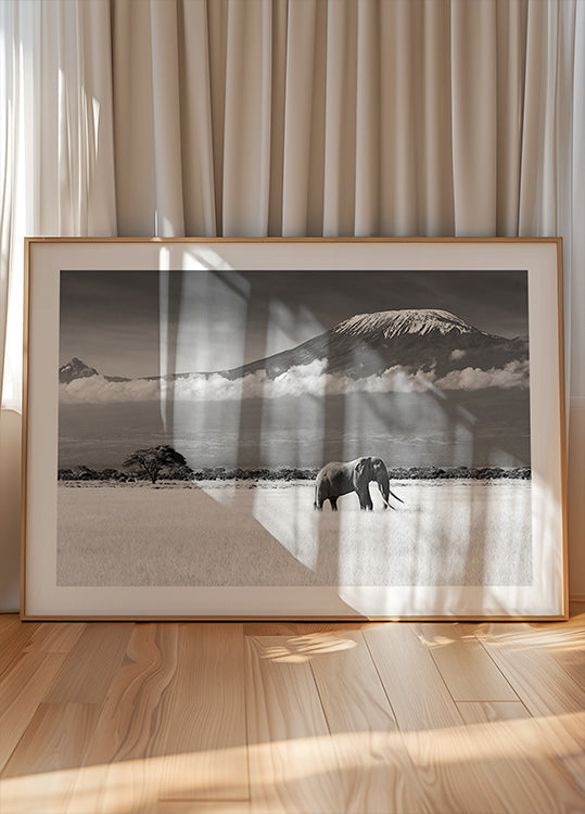 Colores perdidos II Póster