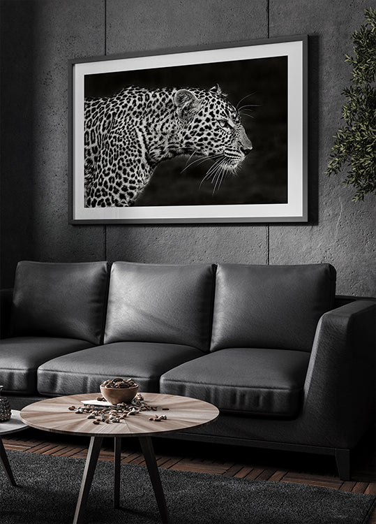 Póster Leopardo de cerca