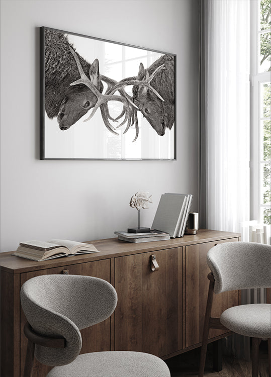 Ojo a ojo - Lucha de alces Póster