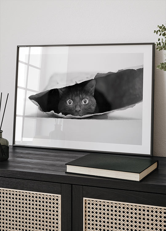 Gato en una bolsa Póster