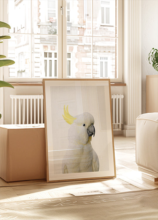 Cacatúa Peekaboo Póster