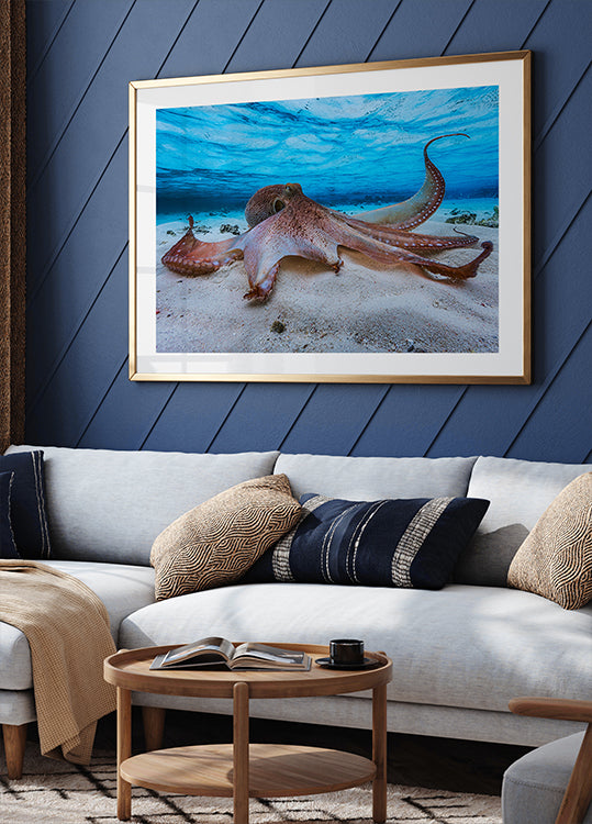 Pulpo