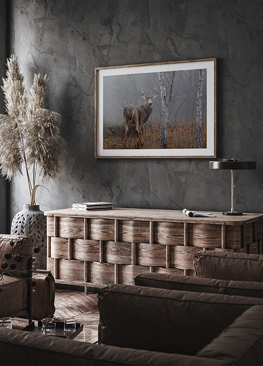 Póster Buck de cola blanca - En la niebla de otoño