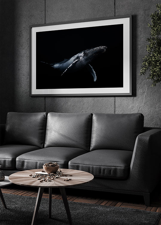 Negro y ballena Póster