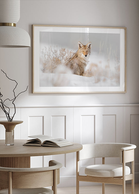 Póster Coyote sentado en la nieve