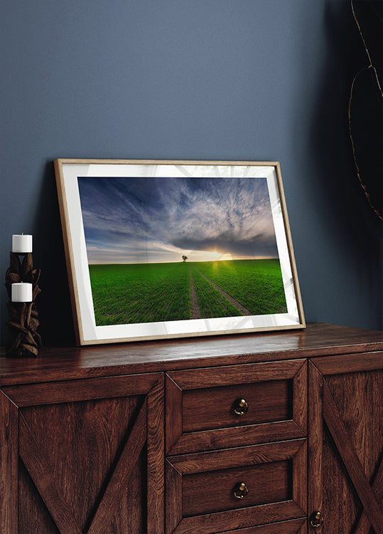 solitario bajo el sol