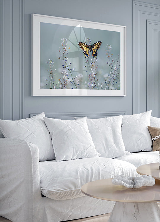 Belleza de cola de golondrina