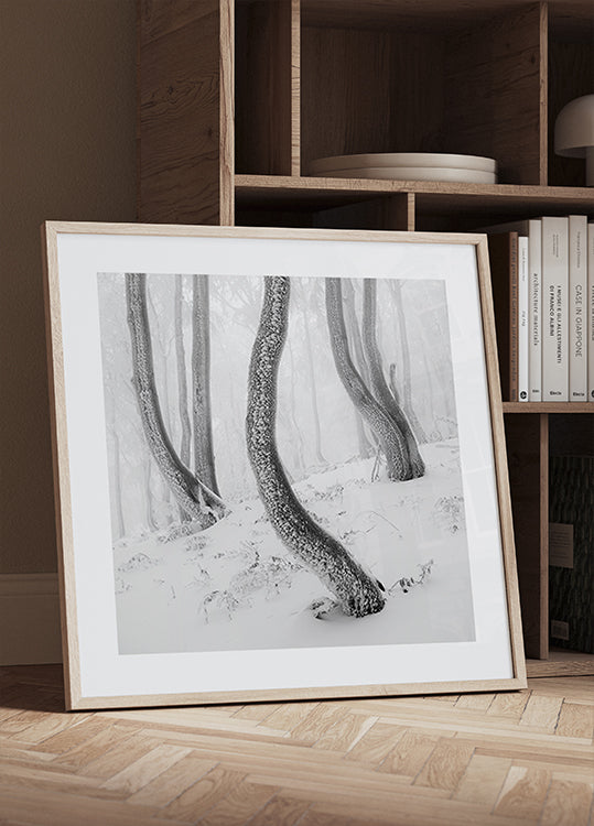 Pósteres bosque congelado