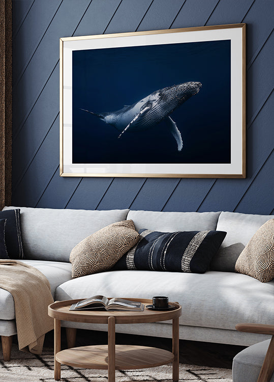 Ballena jorobada en azul Póster