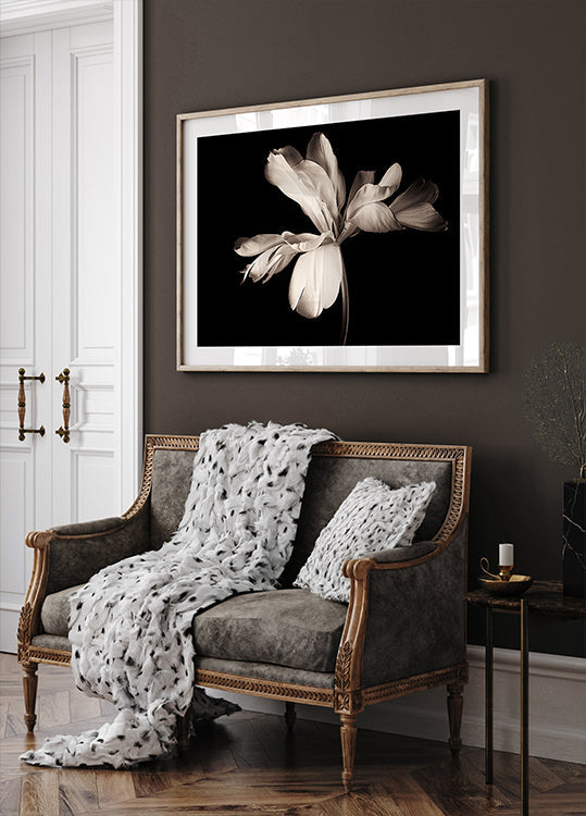 Póster Emperador exótico tulipán