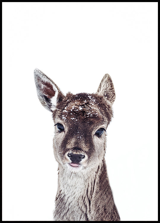 Little Fawn Fiona Plakat - Posterbox