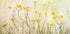Good morning! Plakat - Posterbox