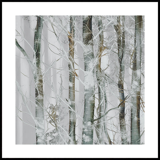 Silver branches Plakater - Posterbox