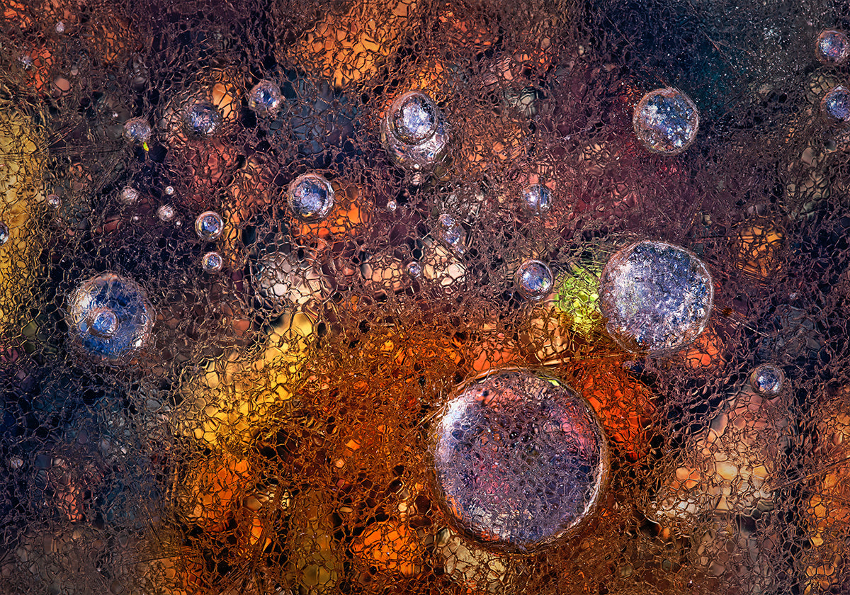 Winter Over Autumn - Posterbox