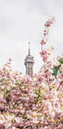 Paris Plakat - Posterbox.dk
