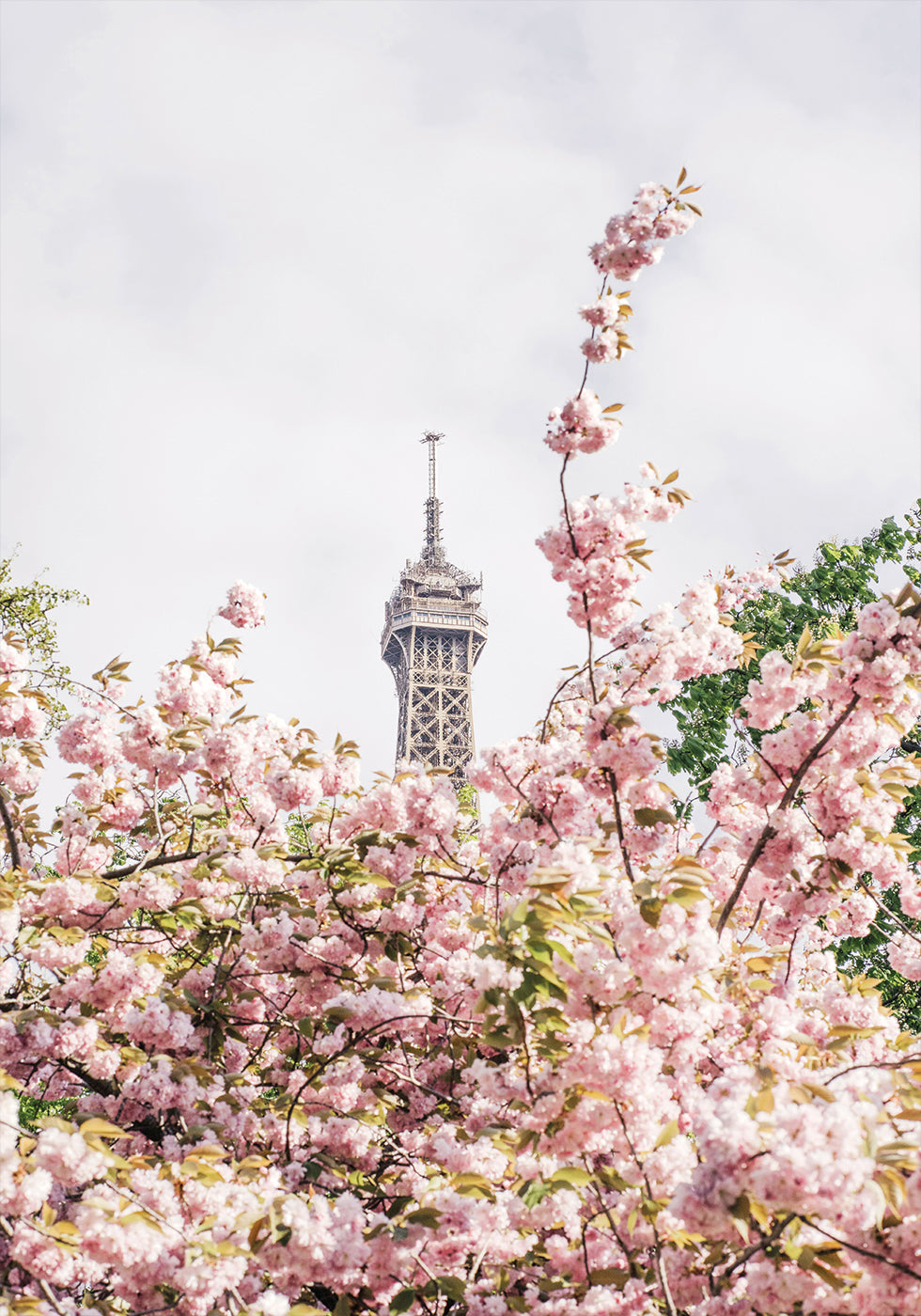 Paris Plakat - Posterbox.dk