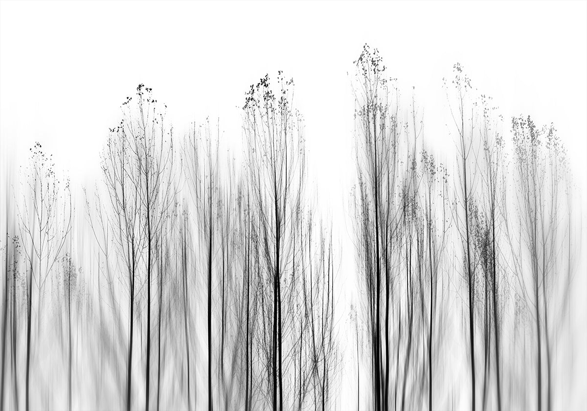 No Grounds - Posterbox