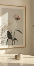 Peony 12 - Posterbox